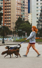 dog-walker
